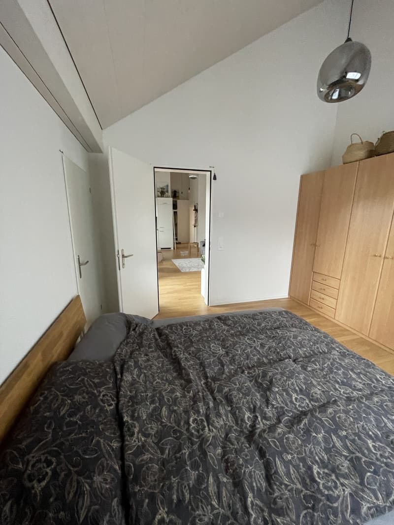 Moderne 2.5-Zimmer-Dachwohnung mit Terrasse in Fahrwangen (9)