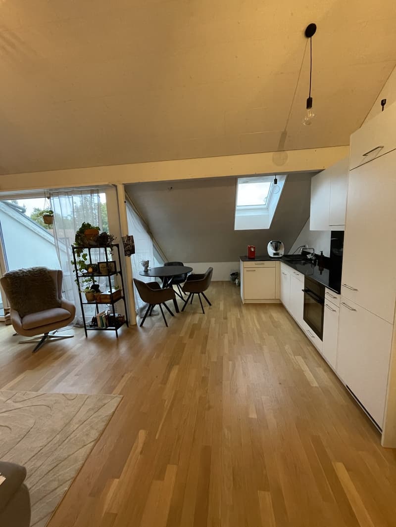 Moderne 2.5-Zimmer-Dachwohnung mit Terrasse in Fahrwangen (1)