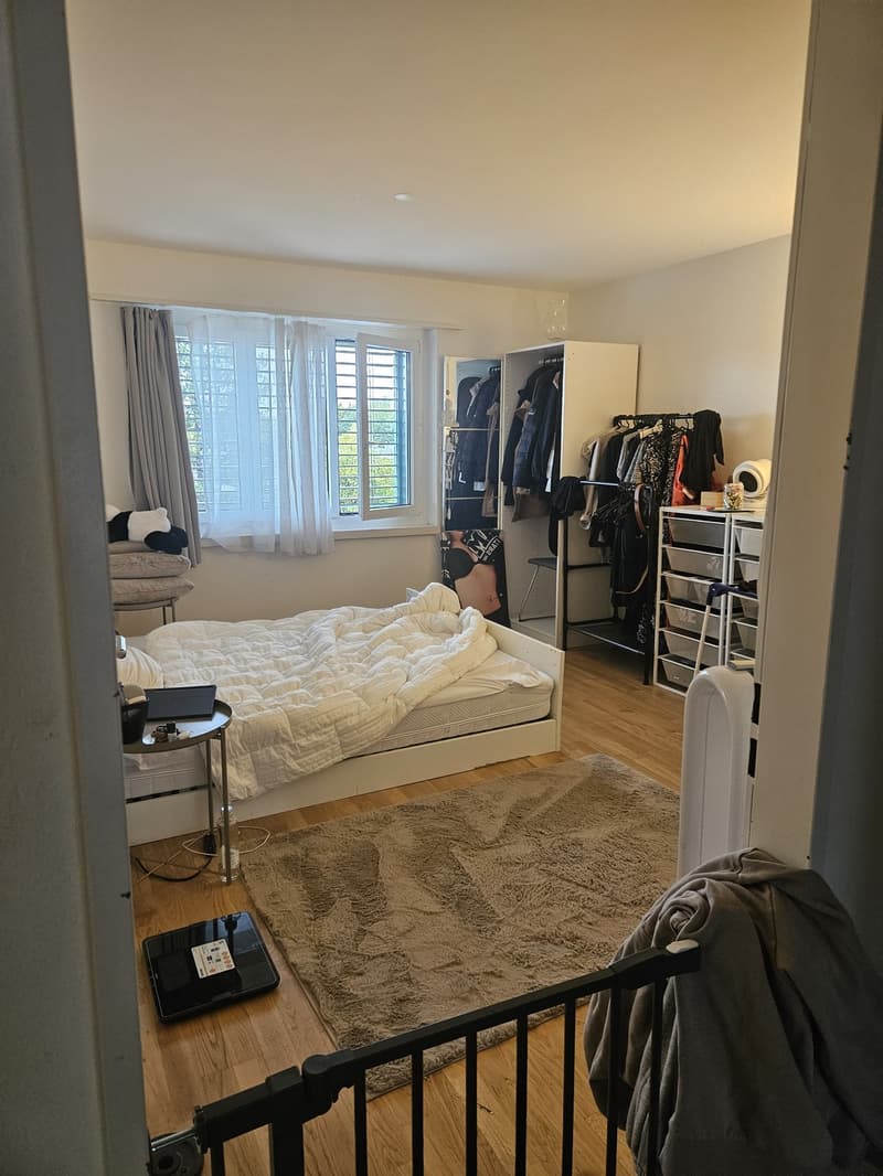 3 ½ Zimmer-Wohnung, 8307 Effretikon (7)