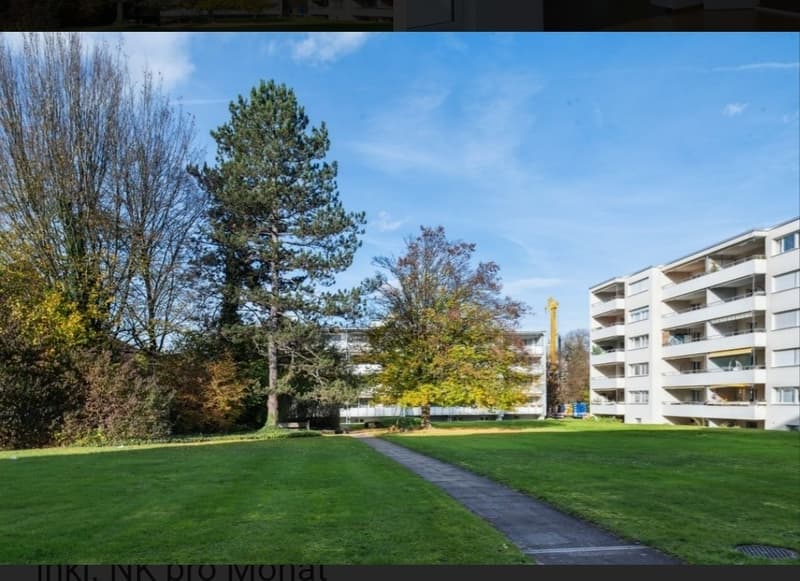 3 ½ Zimmer-Wohnung, 8307 Effretikon (2)