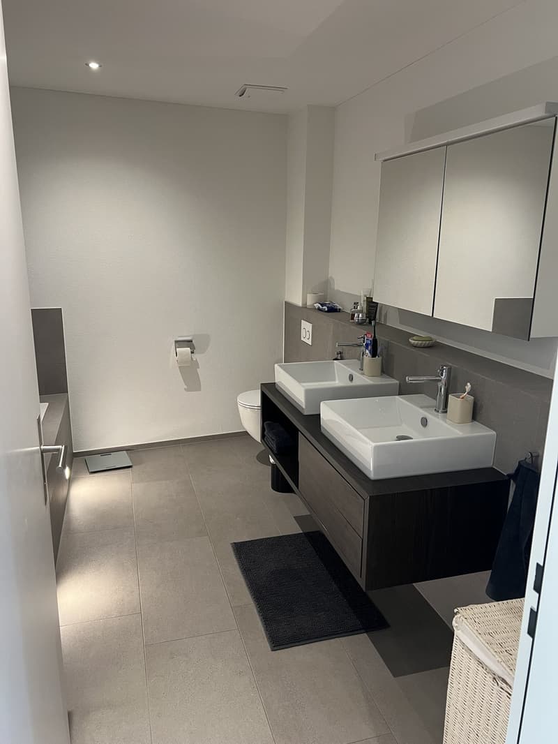 Wunderschöne 3 1/2 Zimmer Wohnung per 1.12.2026 zu vermieten (5)