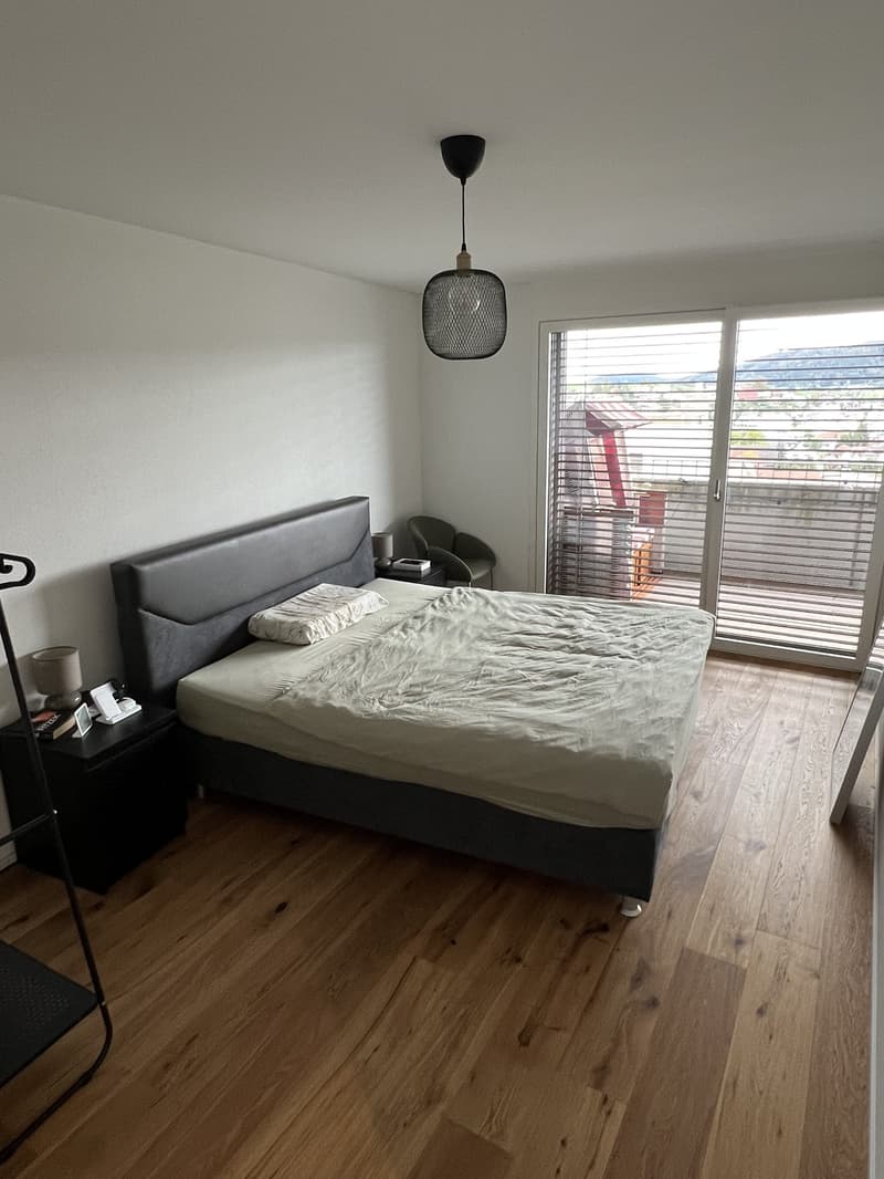 Wunderschöne 3 1/2 Zimmer Wohnung per 1.12.2026 zu vermieten (8)