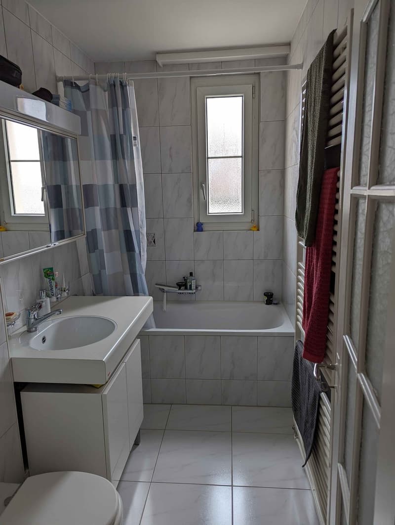 Helle 3-Zimmer-Wohnung im Kreis 6 (per 13.11.2026) (6)