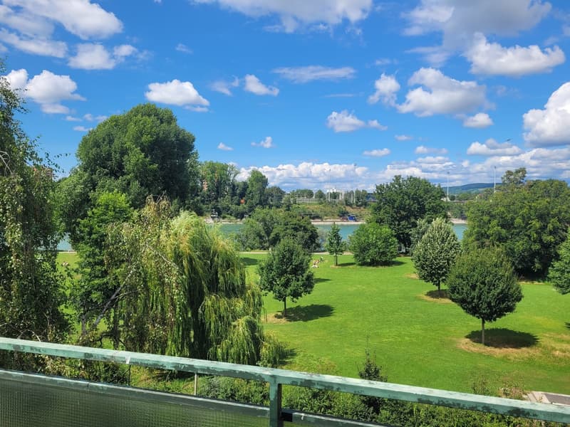 Penthouse Flatshare in Birsfelden: 2 Private Rooms & Bathroom by the Rhine (Birsfelden)  Available from November 1st (7)