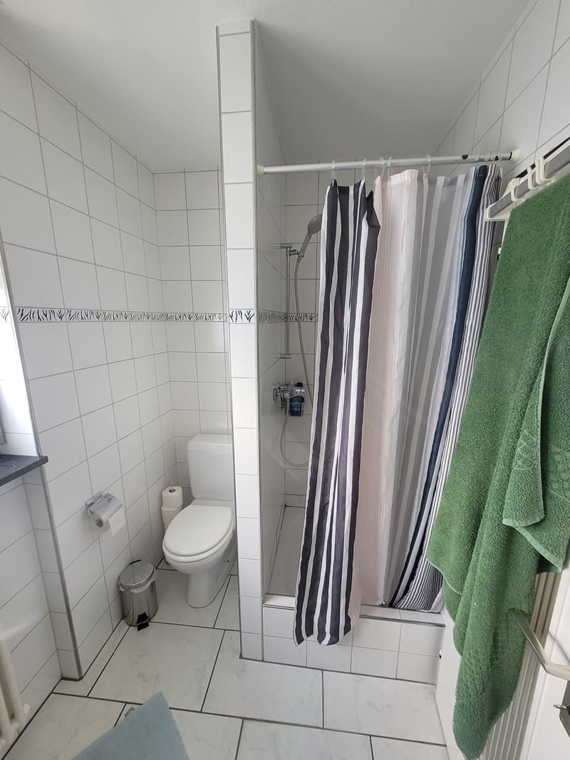 Penthouse Flatshare in Birsfelden: 2 Private Rooms & Bathroom by the Rhine (Birsfelden)  Available from November 1st (4)