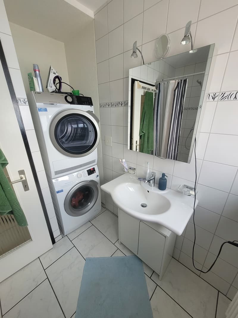 Penthouse Flatshare in Birsfelden: 2 Private Rooms & Bathroom by the Rhine (Birsfelden)  Available from November 1st (5)