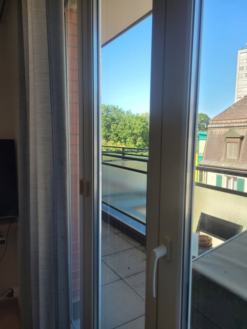 Penthouse Flatshare in Birsfelden: 2 Private Rooms & Bathroom by the Rhine (Birsfelden)  Available from November 1st (3)
