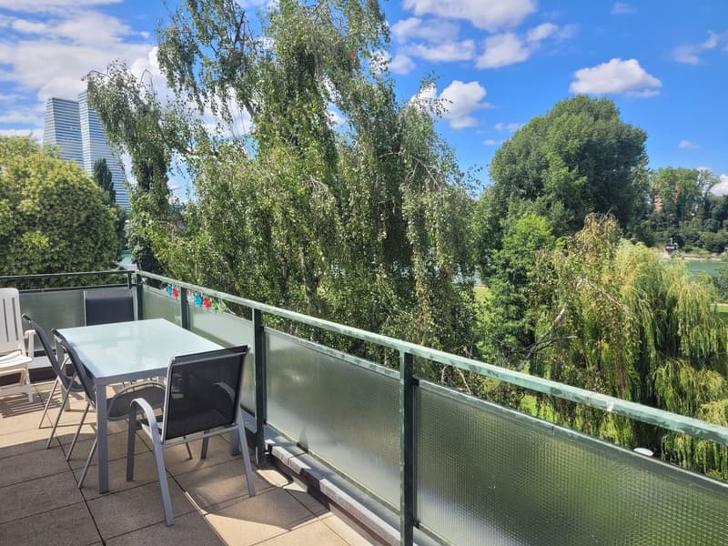 Penthouse Flatshare in Birsfelden: 2 Private Rooms & Bathroom by the Rhine (Birsfelden)  Available from November 1st (6)