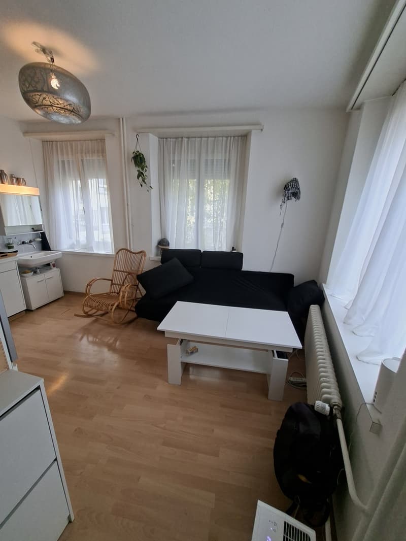 Kleine alternative, günstige Wohnung im Herzen von Zürich (3)