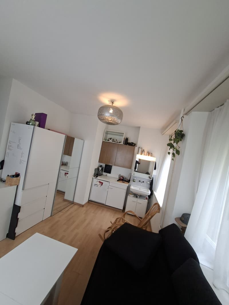 Kleine alternative, günstige Wohnung im Herzen von Zürich (1)