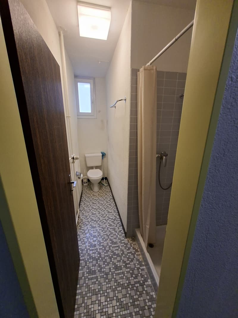 Kleine alternative, günstige Wohnung im Herzen von Zürich (5)