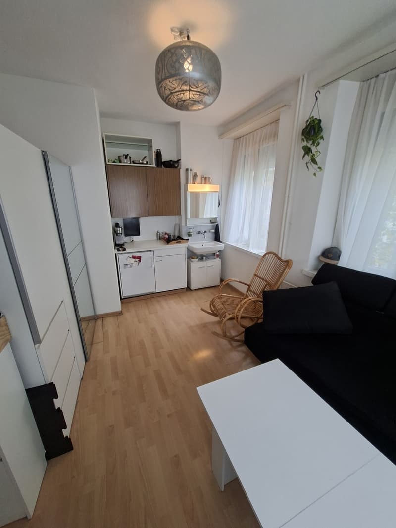 Kleine alternative, günstige Wohnung im Herzen von Zürich (2)