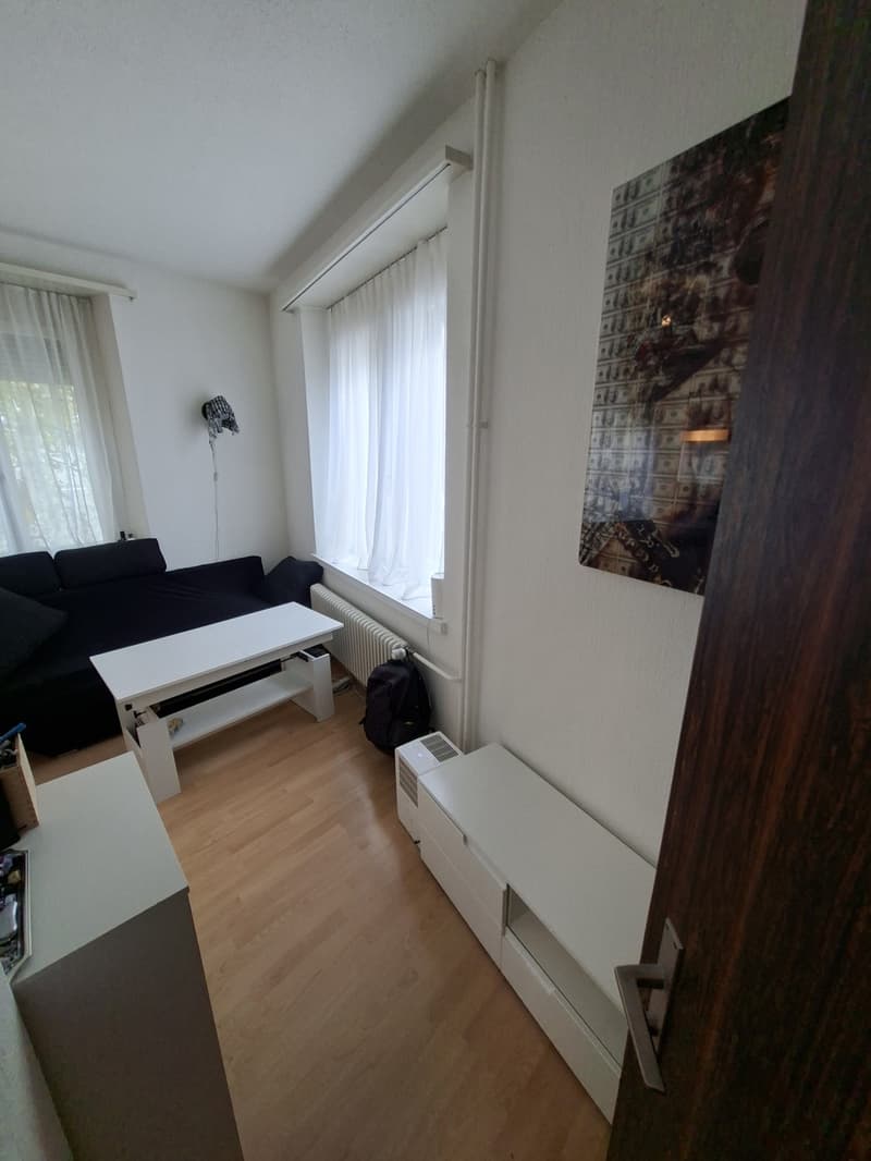 Kleine alternative, günstige Wohnung im Herzen von Zürich (4)