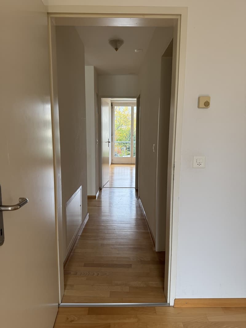Sonnige 3.5-Zimmer-Wohnung in Meilen mit Wintergarten, Cheminée und Garage alles inklusive! (7)