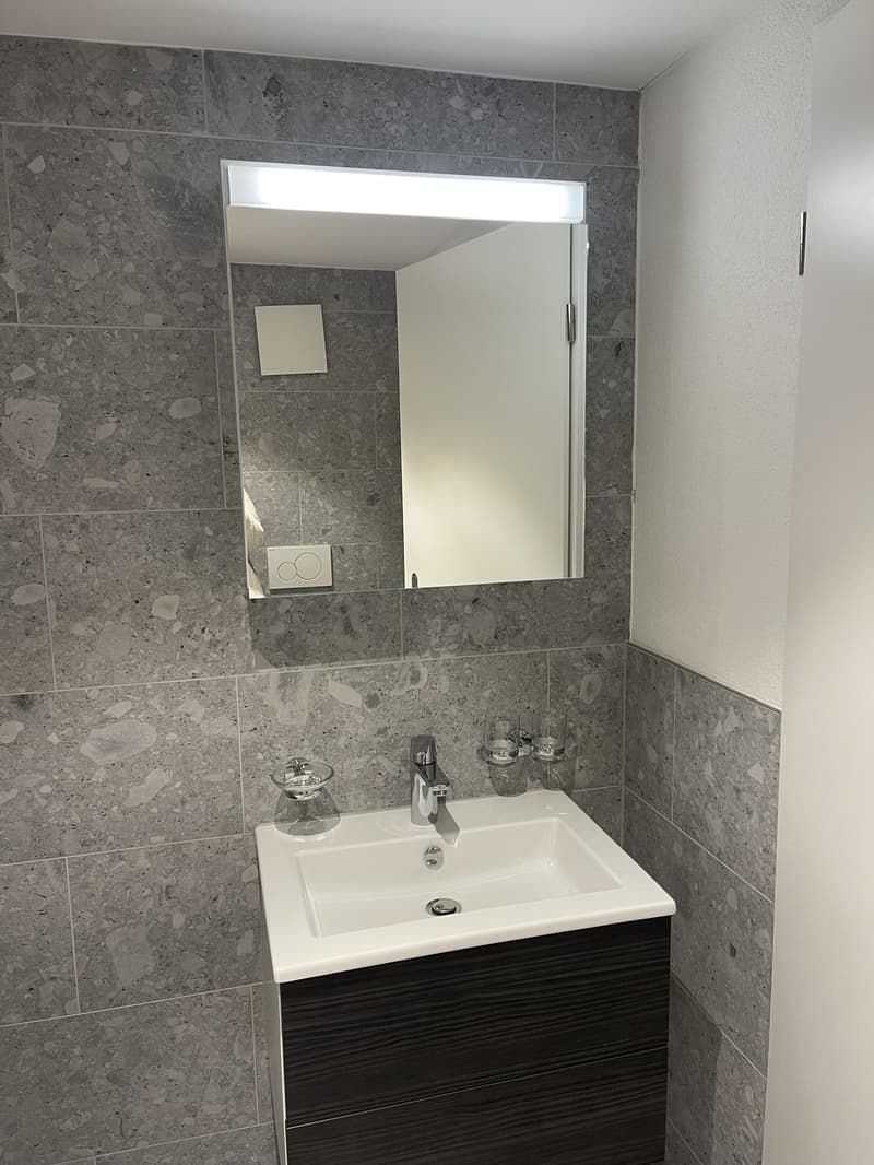 Nachmieter/in per sofort gesucht. wunderschöne 2,5-Zimmer-Wohnung in der Altstadt von Schaffhausen (6)