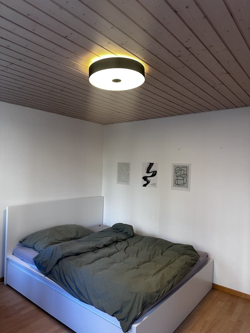 Möbliertes WG-Zimmer in St. Gallen zentrale Lage, Januar bis August (3)