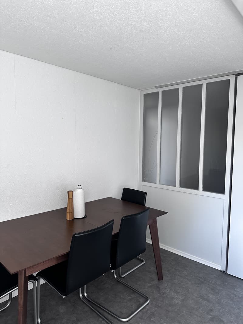 Möbliertes WG-Zimmer in St. Gallen zentrale Lage, Januar bis August (6)