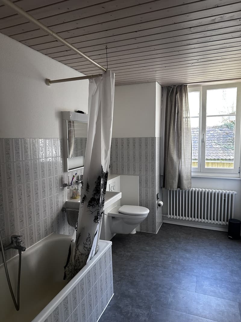 Möbliertes WG-Zimmer in St. Gallen zentrale Lage, Januar bis August (10)