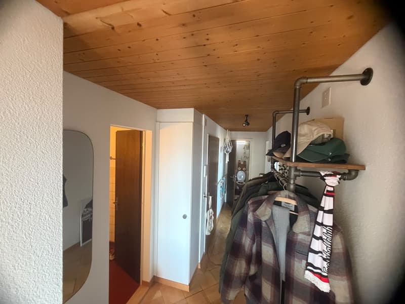 möbilierte 2 Zimmerwohnung in Wipkingen (1)