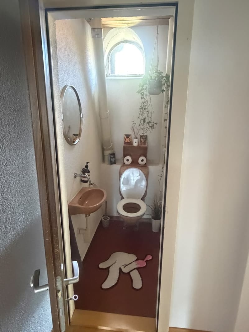 möbilierte 2 Zimmerwohnung in Wipkingen (2)