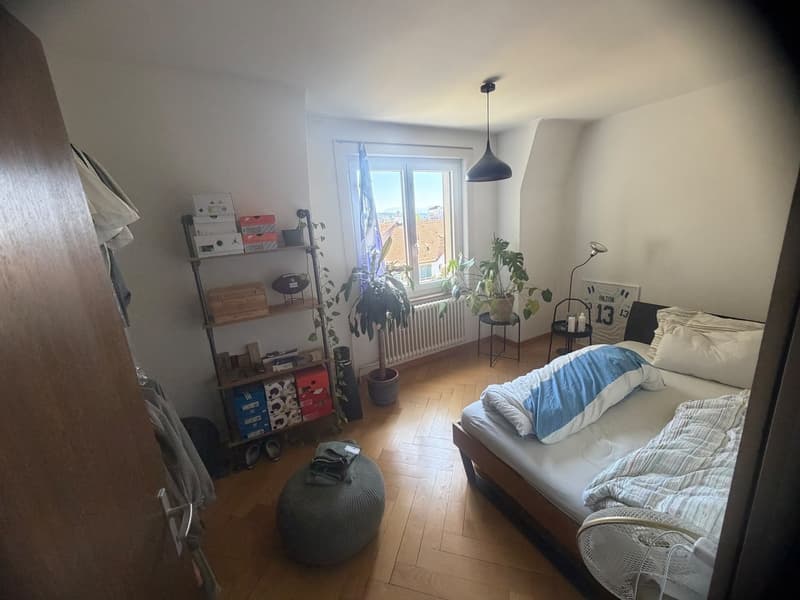 möbilierte 2 Zimmerwohnung in Wipkingen (3)