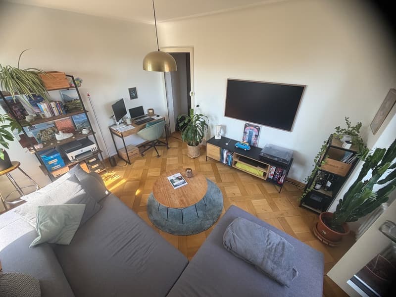 möbilierte 2 Zimmerwohnung in Wipkingen (7)