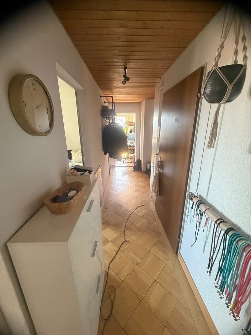 möbilierte 2 Zimmerwohnung in Wipkingen (5)