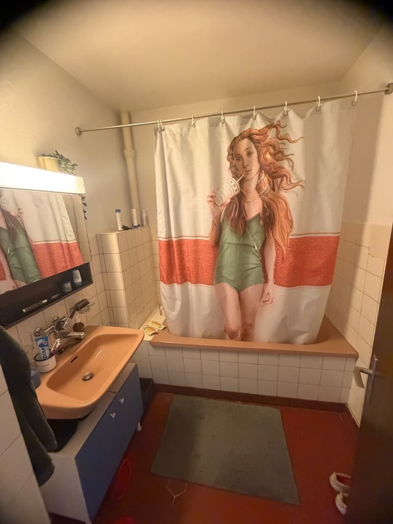 möbilierte 2 Zimmerwohnung in Wipkingen (8)