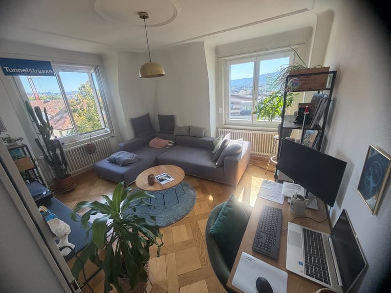 möbilierte 2 Zimmerwohnung in Wipkingen (6)