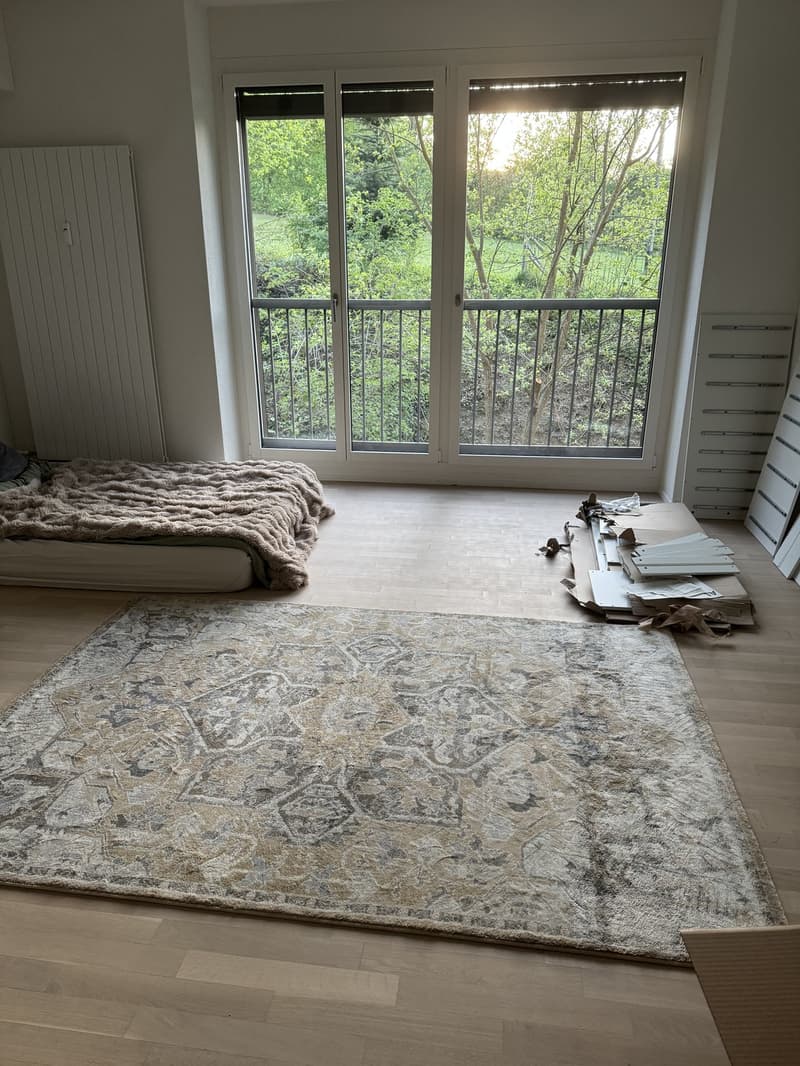 Schöne 1 Zimmer Wohnung in Schwamendingen (2)
