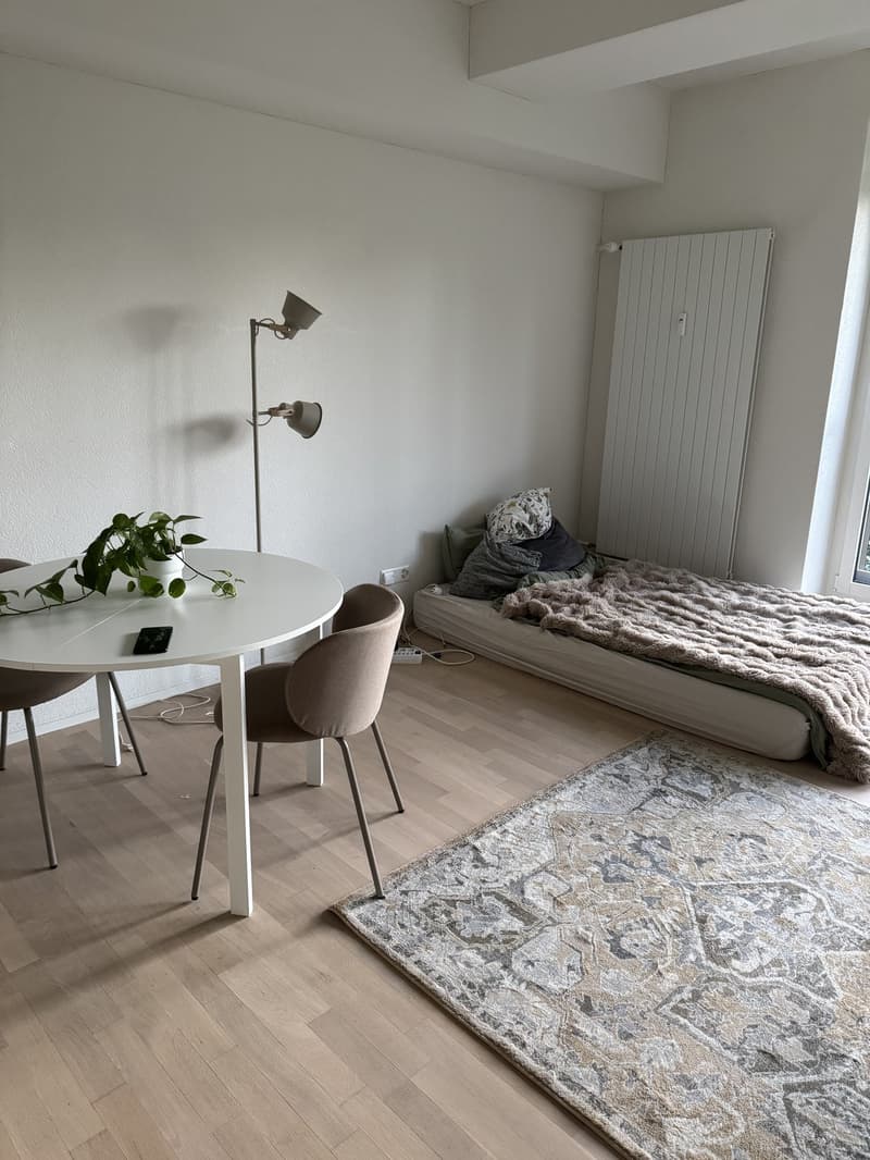 Schöne 1 Zimmer Wohnung in Schwamendingen (1)
