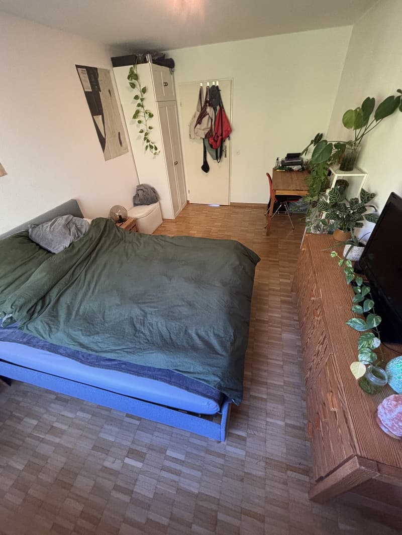 Room for rent in beautiful WG (2)