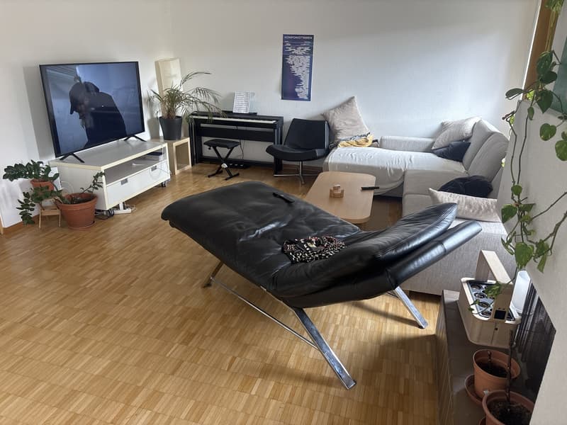 Room for rent in beautiful WG (4)