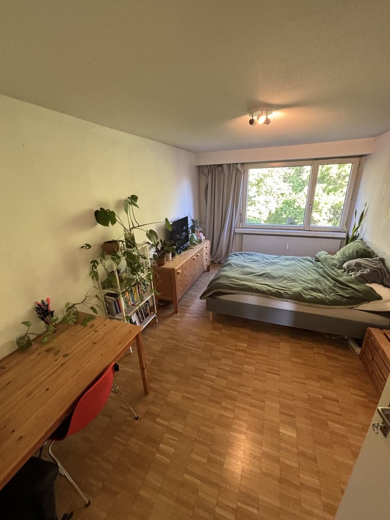 Room for rent in beautiful WG (1)