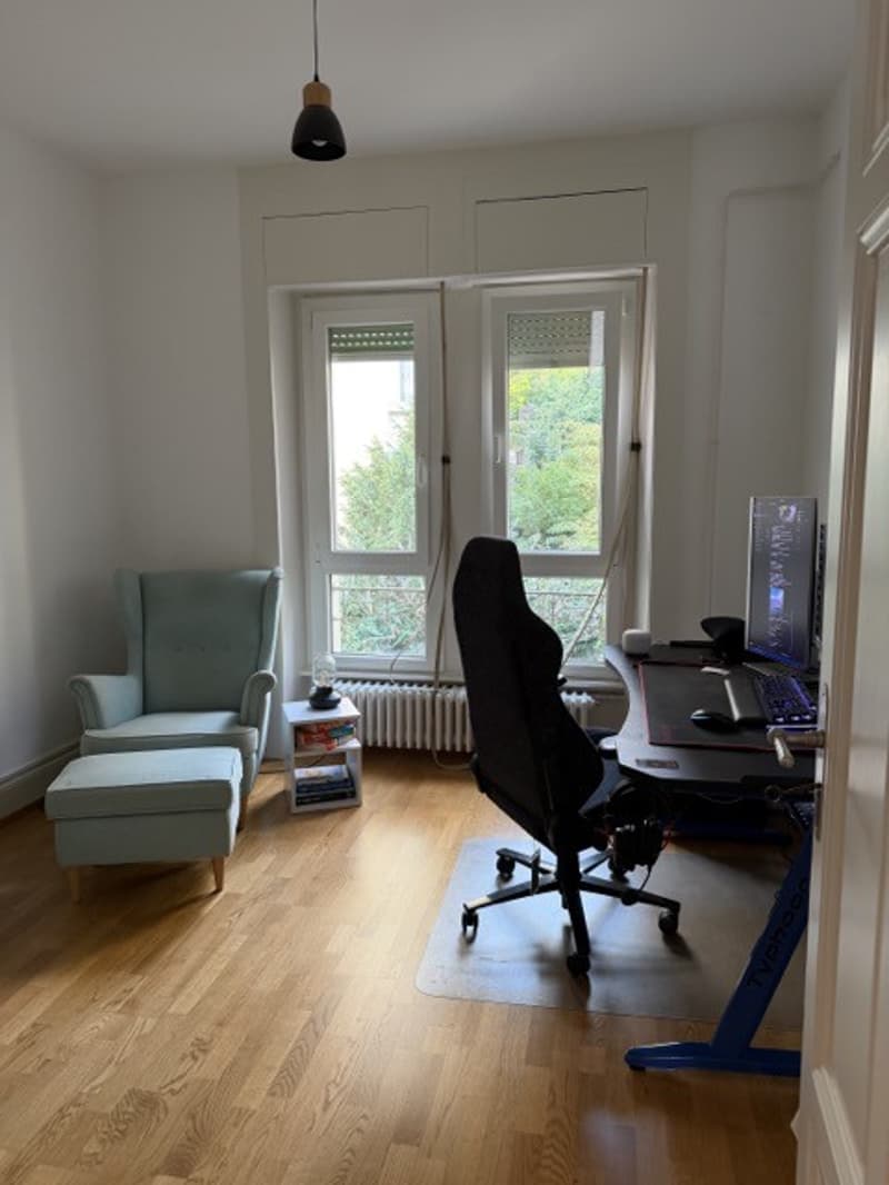 Charming 4.5 Room Apartment - Central Location - Lake View (8)