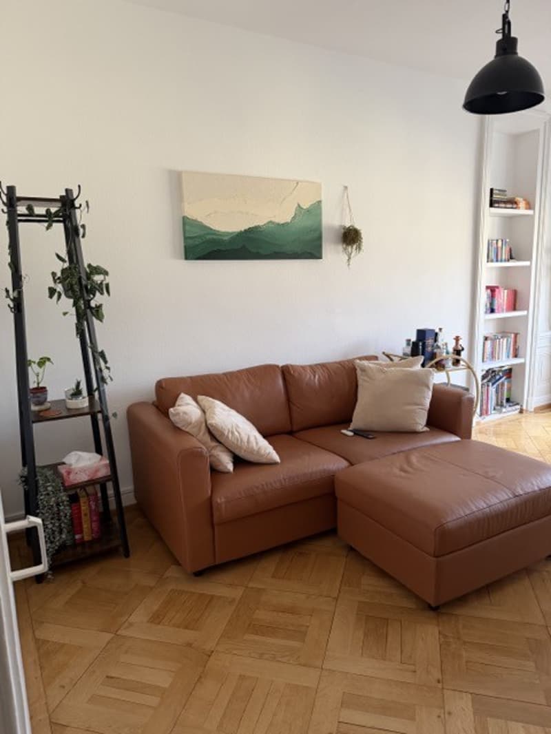 Charming 4.5 Room Apartment - Central Location - Lake View (1)