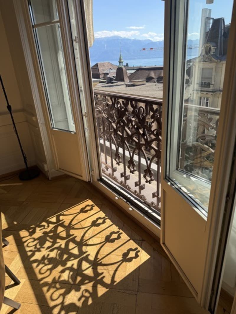 Charming 4.5 Room Apartment - Central Location - Lake View (5)