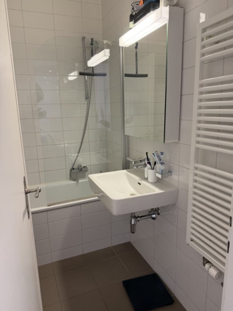 Charming 4.5 Room Apartment - Central Location - Lake View (10)
