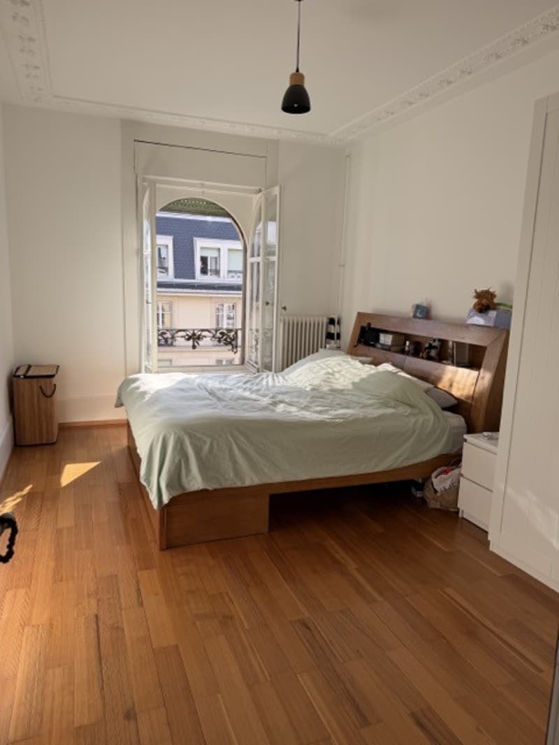 Charming 4.5 Room Apartment - Central Location - Lake View (6)