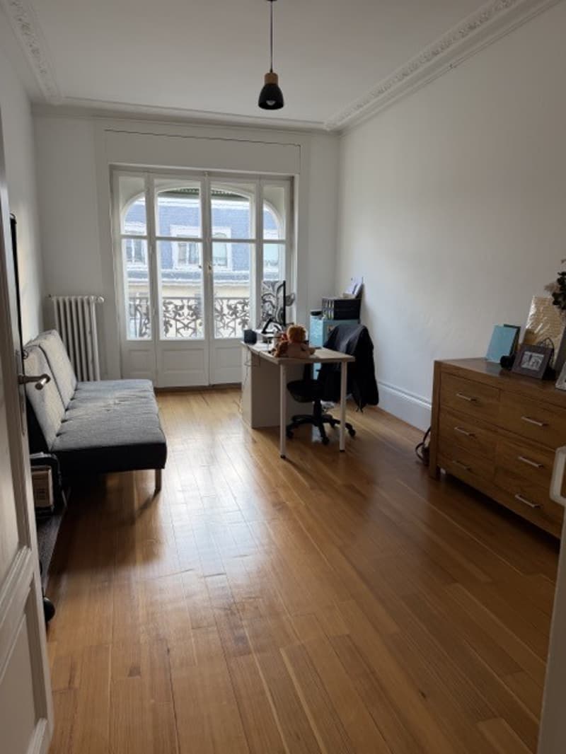 Charming 4.5 Room Apartment - Central Location - Lake View (7)