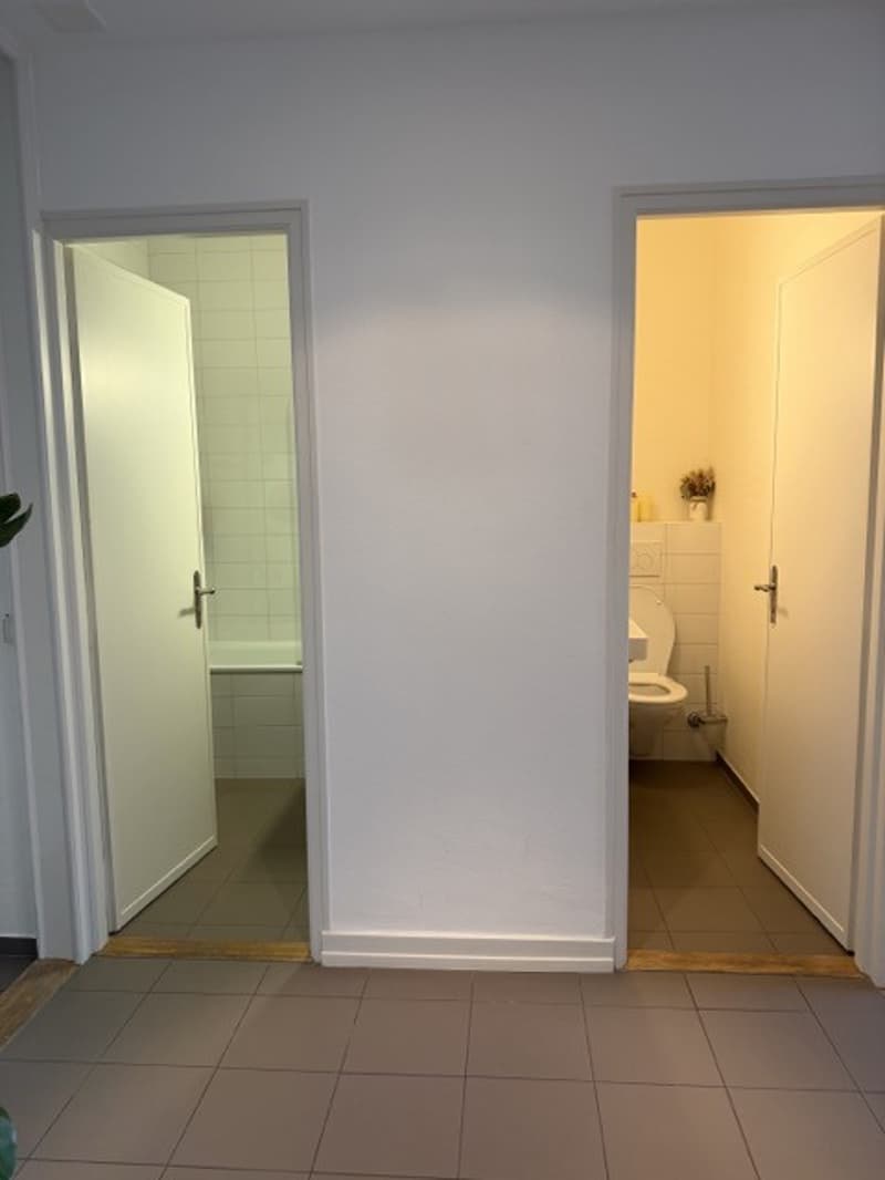 Charming 4.5 Room Apartment - Central Location - Lake View (12)