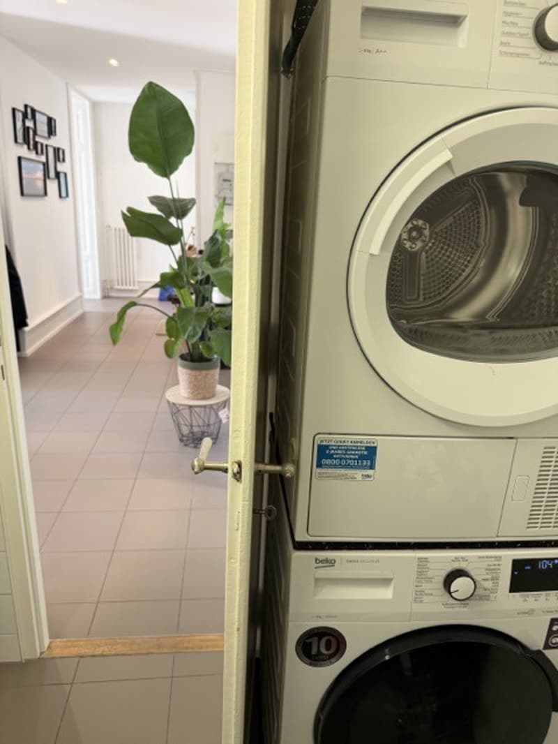 Charming 4.5 Room Apartment - Central Location - Lake View (11)