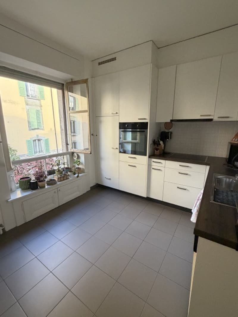 Charming 4.5 Room Apartment - Central Location - Lake View (9)