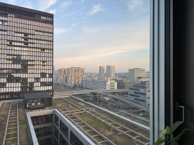 Helles 15 m² Zimmer in entspannter 2er-WG direkt am Bahnhof Altstetten (6)
