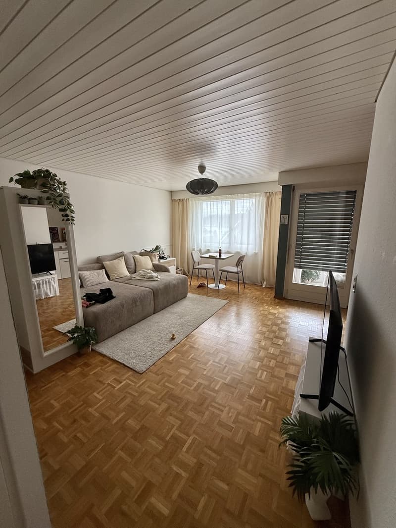 Helle grosse 1.5 Zimmerwohnung in Richterswil (9)