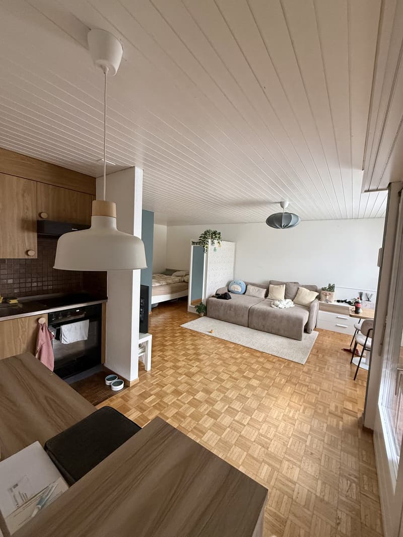 Helle grosse 1.5 Zimmerwohnung in Richterswil (8)