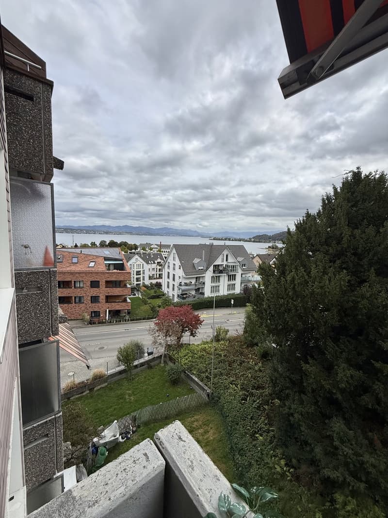 Helle grosse 1.5 Zimmerwohnung in Richterswil (2)