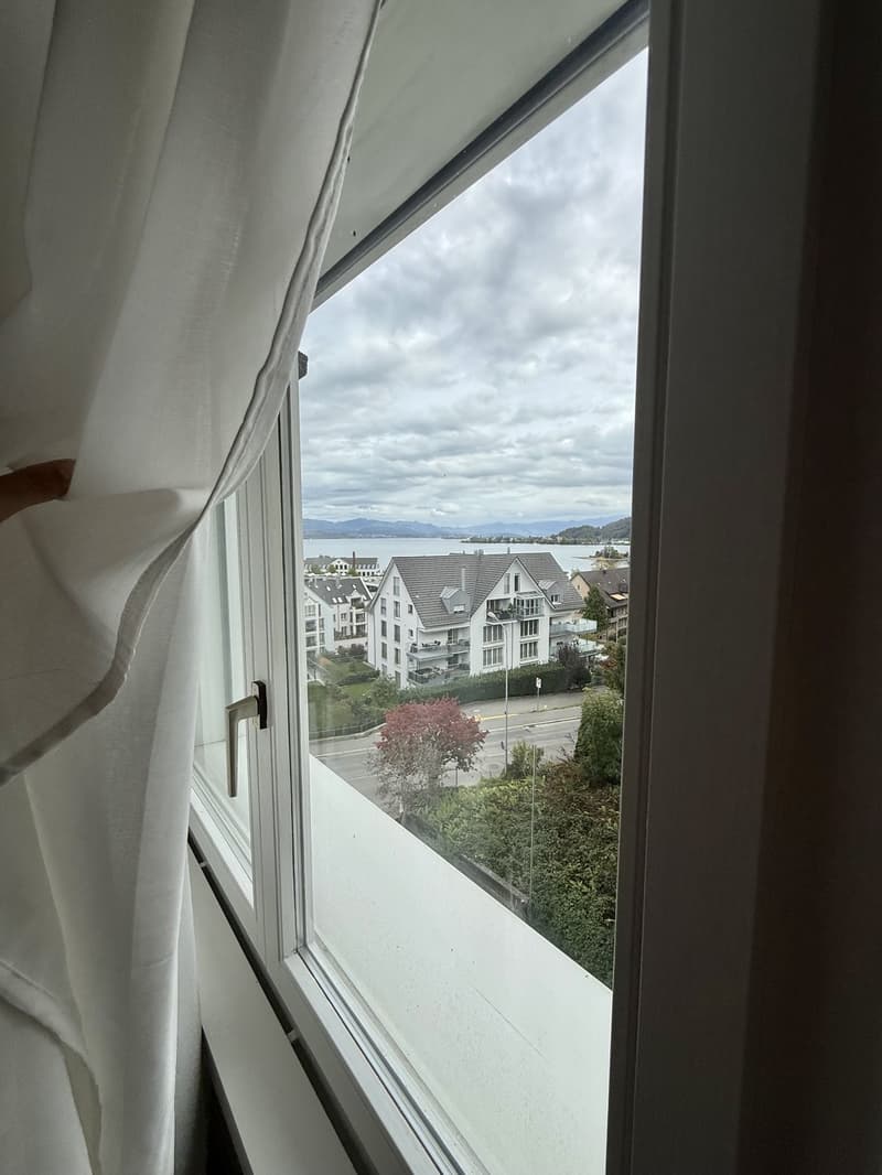 Helle grosse 1.5 Zimmerwohnung in Richterswil (5)