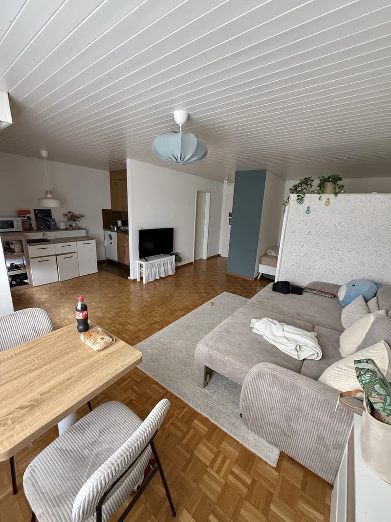 Helle grosse 1.5 Zimmerwohnung in Richterswil (6)