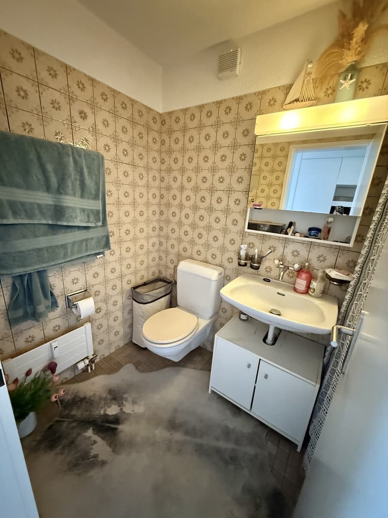 Helle grosse 1.5 Zimmerwohnung in Richterswil (3)